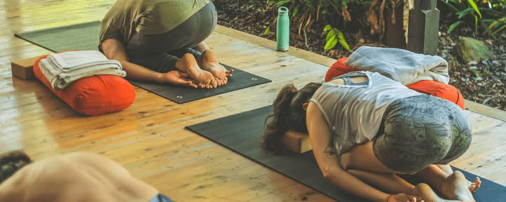 Revive & Thrive Retiro