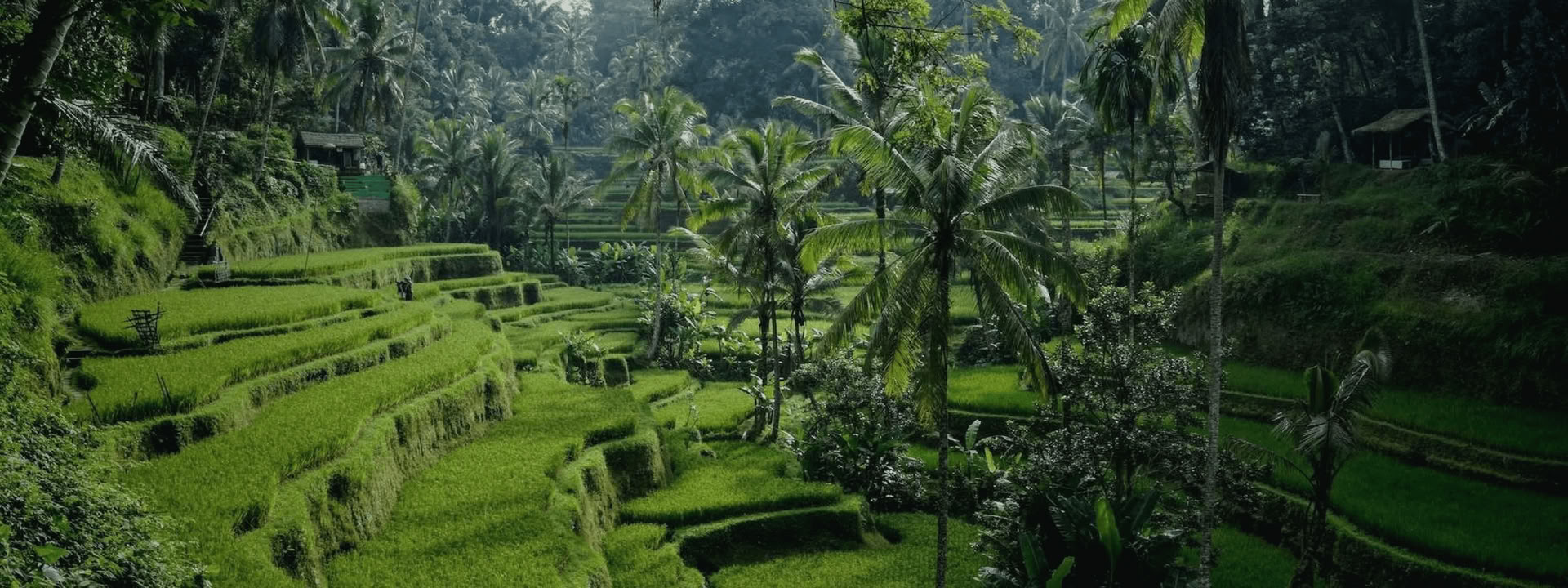 Bali Bound: Viaje hacia la paz interior