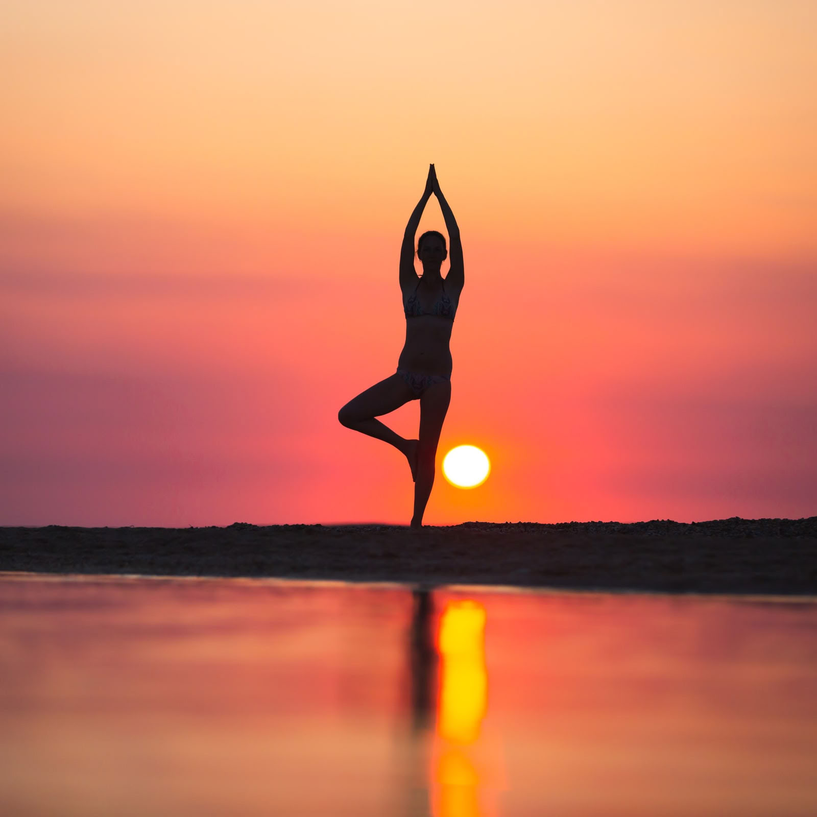 Sala privada para retiro de bienestar y yoga de 5 días en Rishikesh