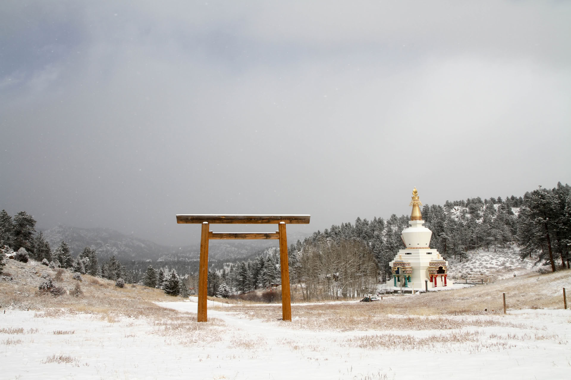 Encontrar la calma y la claridad a través de la respiración: un retiro de meditación guiada