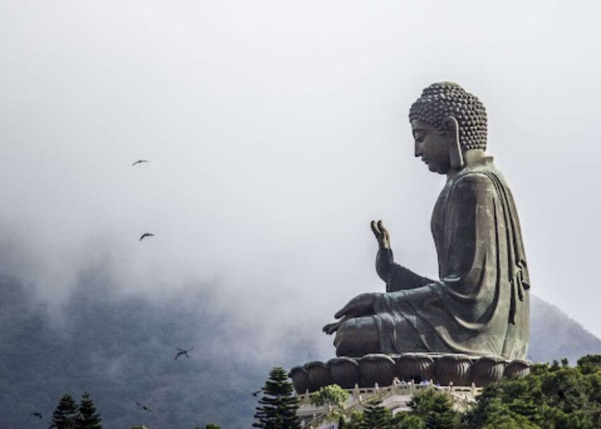 Fundamentos de la Meditación II: Profundizando el Camino | 2026