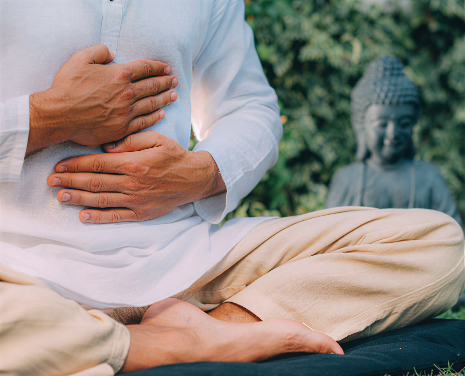 Fundamentos de la Meditación II: Profundizando el Camino | 2026