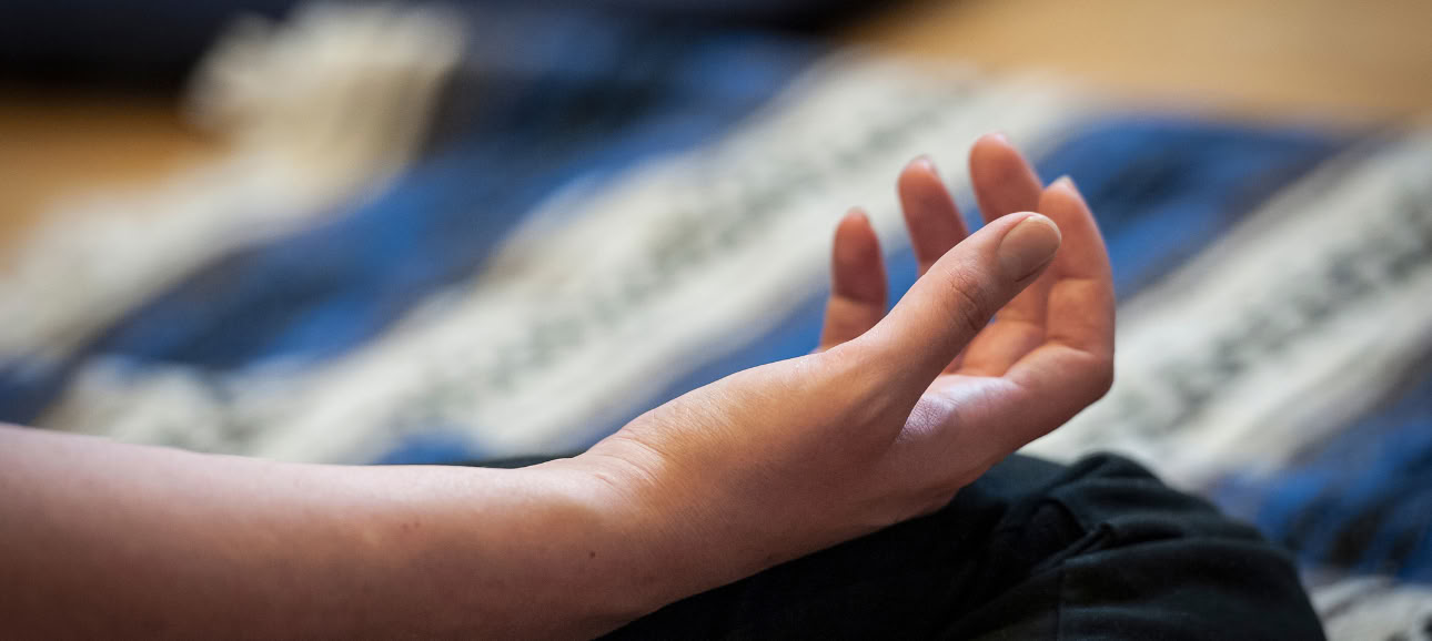 Fundamentos de la Meditación I: Estableciendo la Base