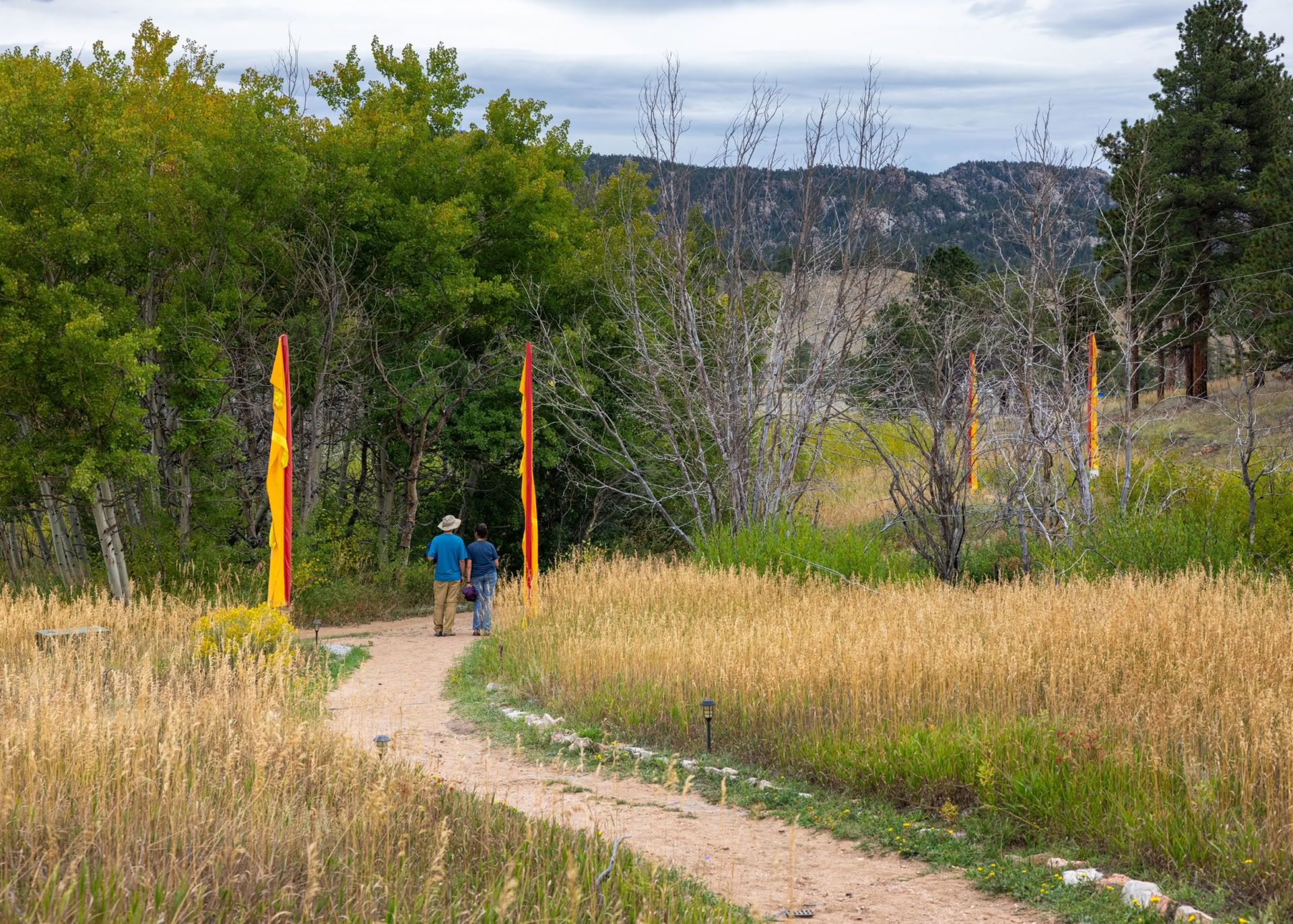 Sitting in Beauty: Un retiro de meditación silenciosa de 5 días