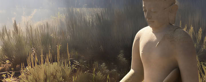 Mindfulness Dentro y Fuera del Cojín