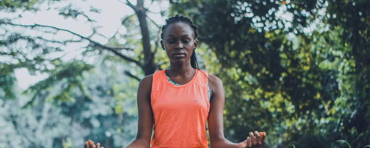 Proclamando la cordura básica: Viviendo el camino del Bodhisattva