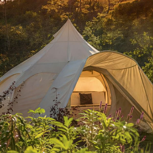 Retiro Íntimo de Ayahuasca
