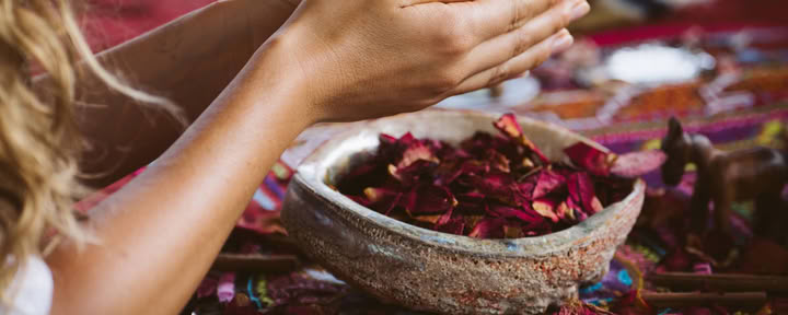Retiro Íntimo de Ayahuasca