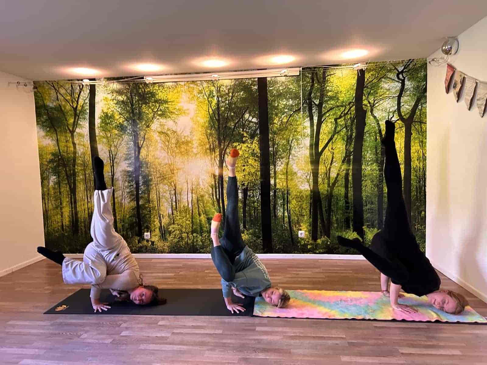 100 horas de entrenamiento de equilibrio de brazos en Alemania