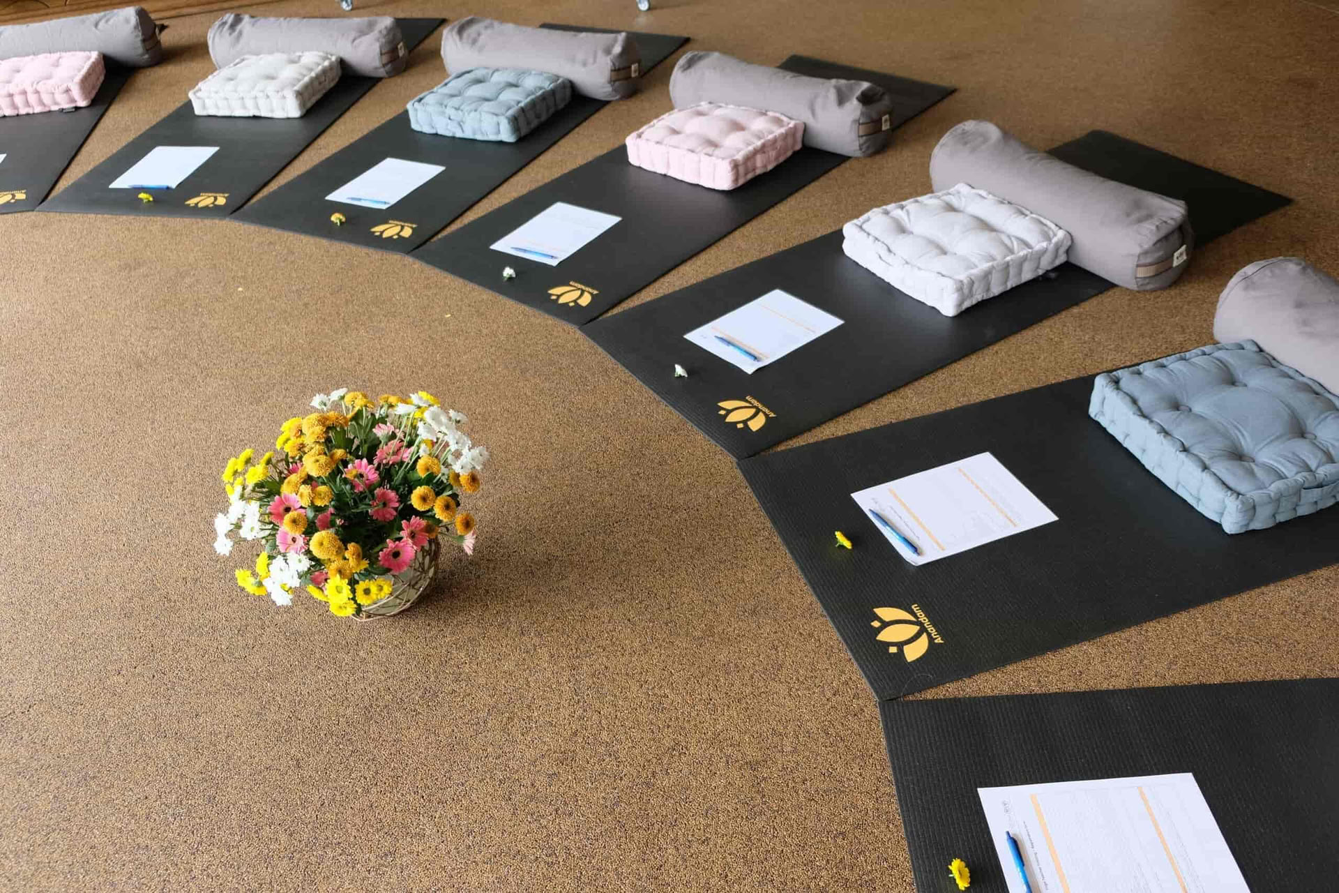 50 horas de formación en Yoga Nidra Alemania