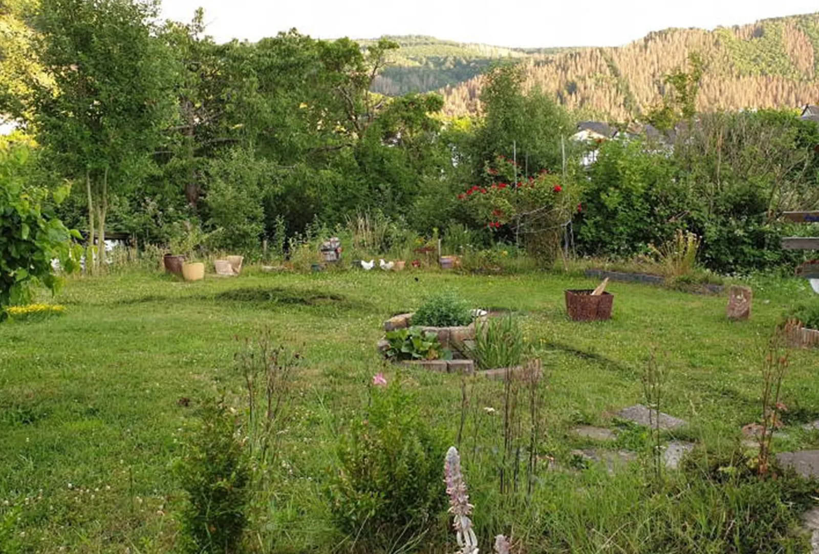 Retiro de Yoga de 6 Días en Heimbach, Eifel — Mayo de 2026