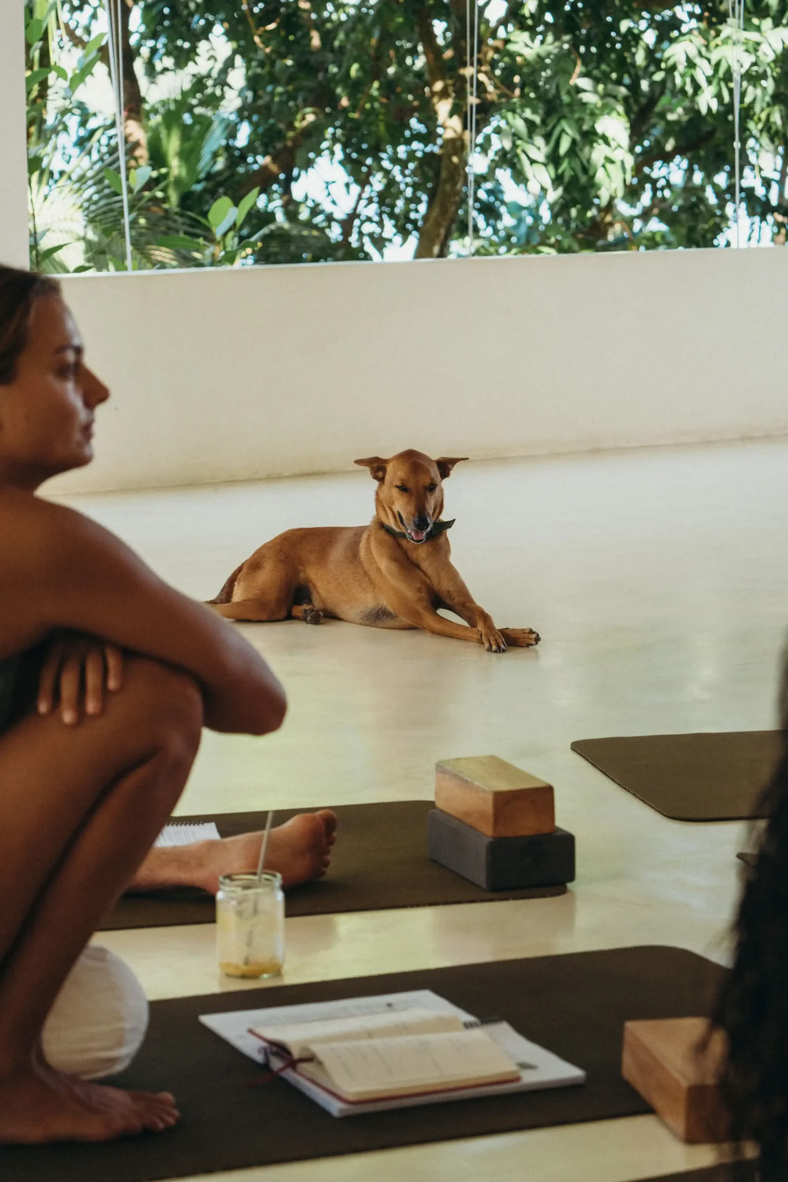 Synergy Vinyasa Yoga Retiro at Lanka Yoga