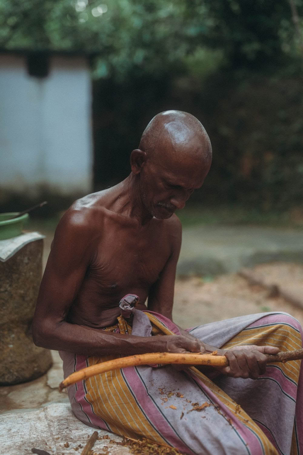 Retiro de Yoga de Reinicio en Sri Lanka