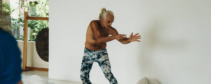 Yoga Synergy Teachers Intensive con Simon Borg-Olivier