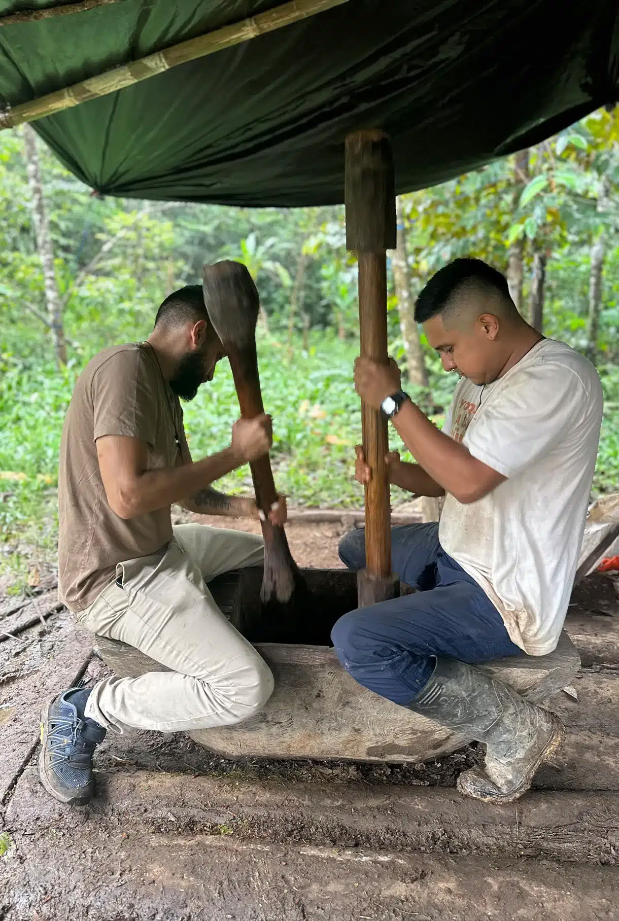 Medicine Maker Ayahuasca Retiro With Taita Miguel