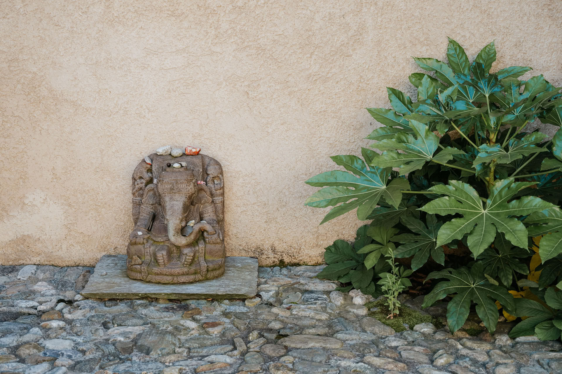 Retiro de Quietud Interior de Yin Yoga