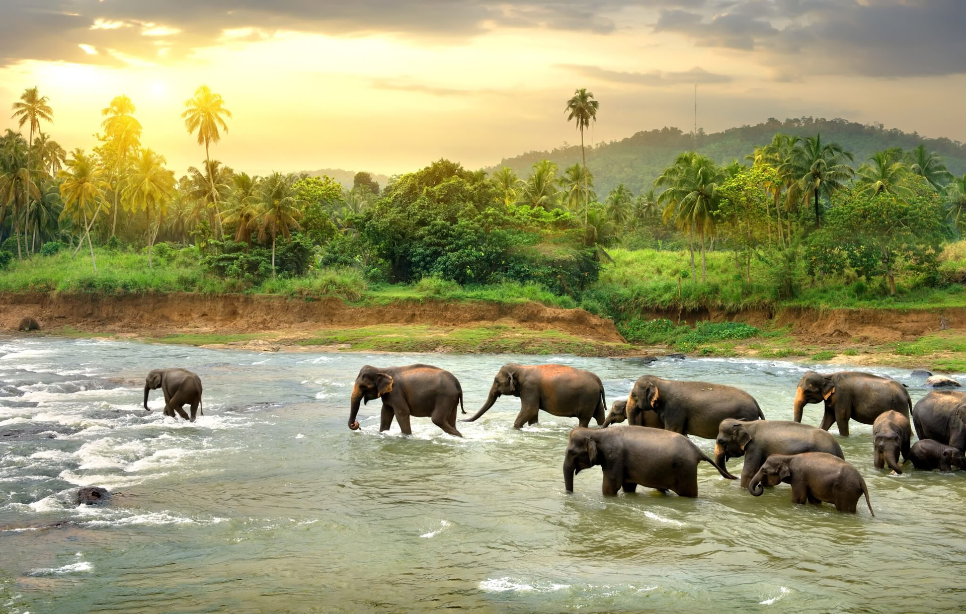 Tranquil Trails: ¡7 días de dicha en Sri Lanka! Yoga, meditación, cultura, naturaleza