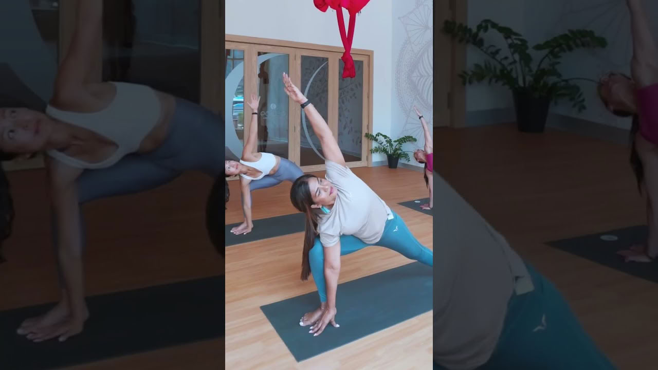 50 Horas Curso Maestro de Alineación de Yoga (YACEP)