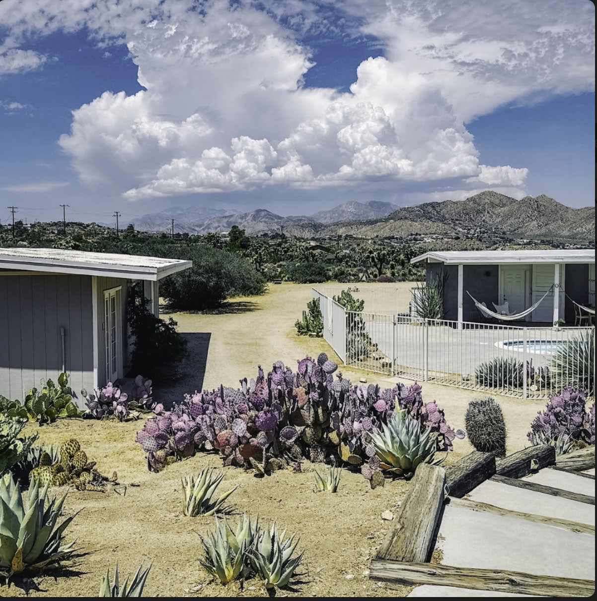 Cactus Moon :: El regreso con Liz y Megan