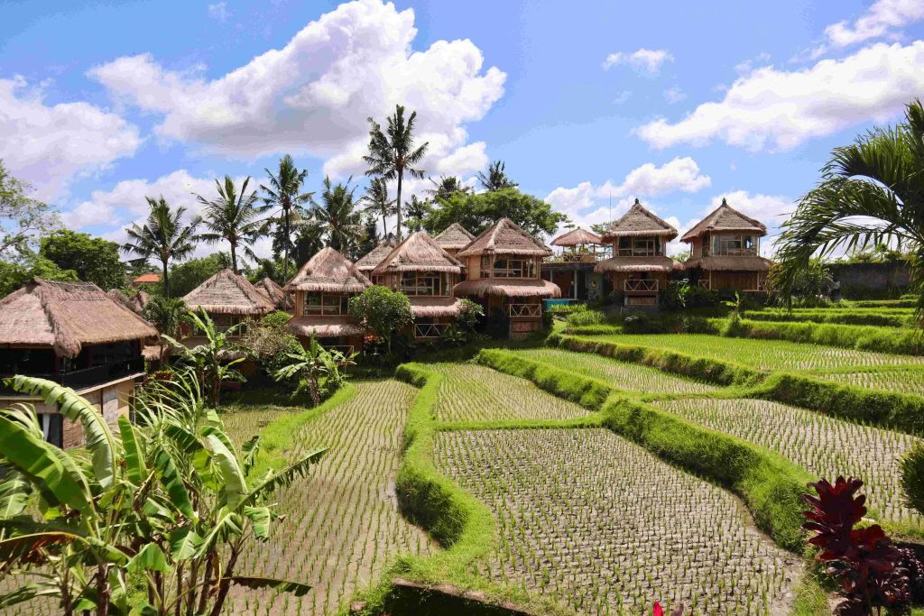RYT200 Yoga Teacher Training – 30 ago - 19 sep