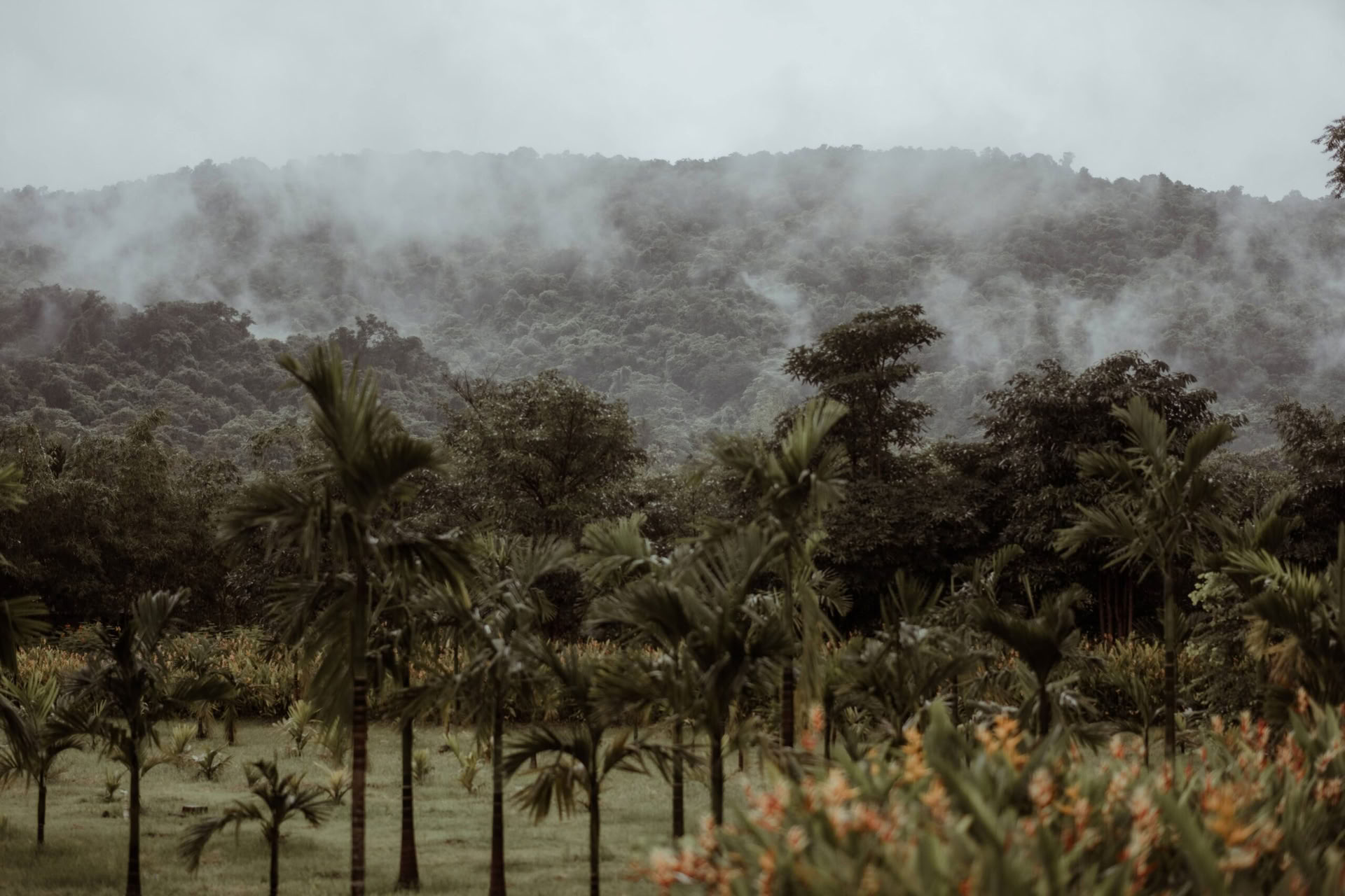 Dimora di Datu Goa – Un regreso a la fuente