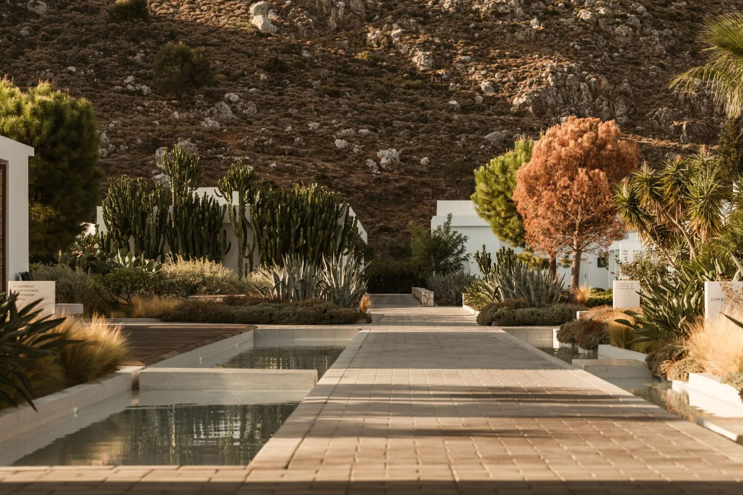 Ritual Personalizado de Yoga y Spa