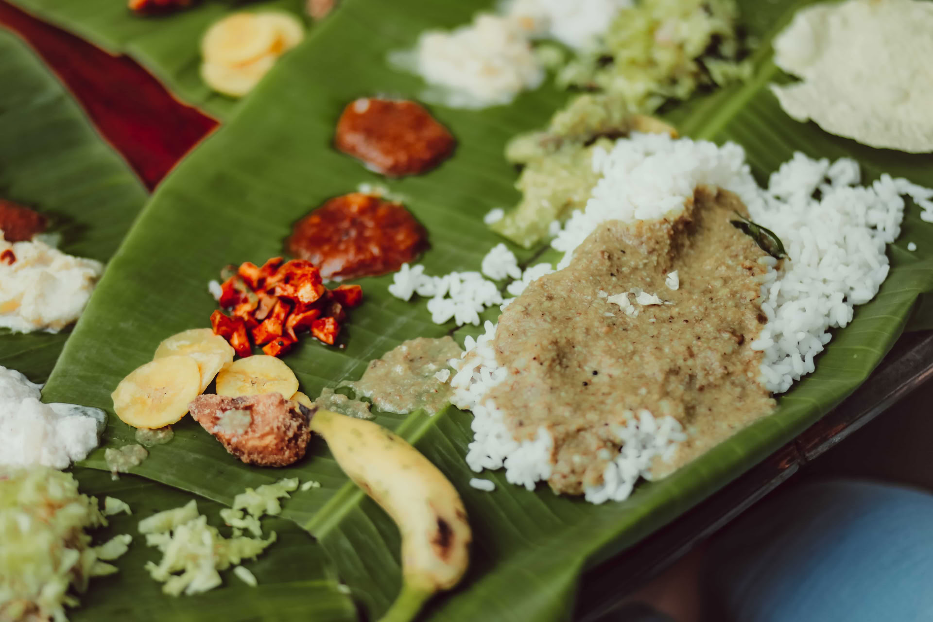 Curso de Sanación con Sonido en Varkala, Kerala