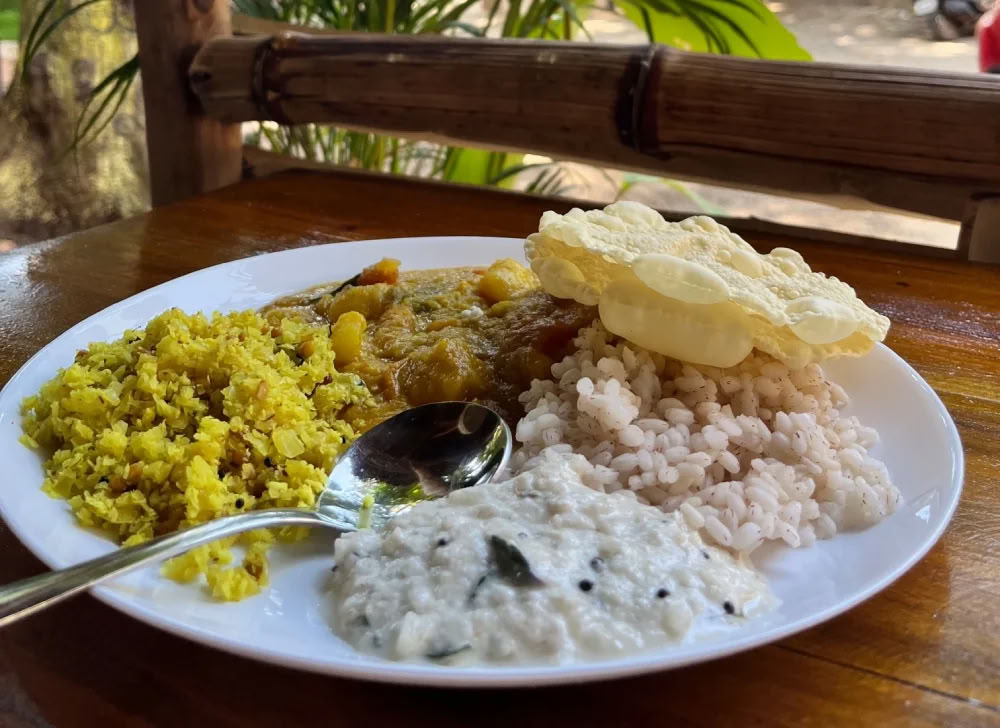14 días de Despertar Espiritual y Retiro de Yoga en Varkala, Kerala