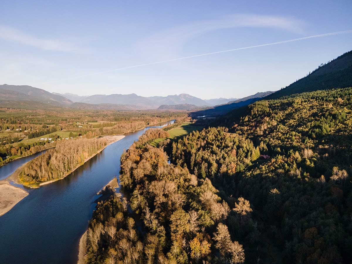 Detox Retiro – Limpieza de otoño