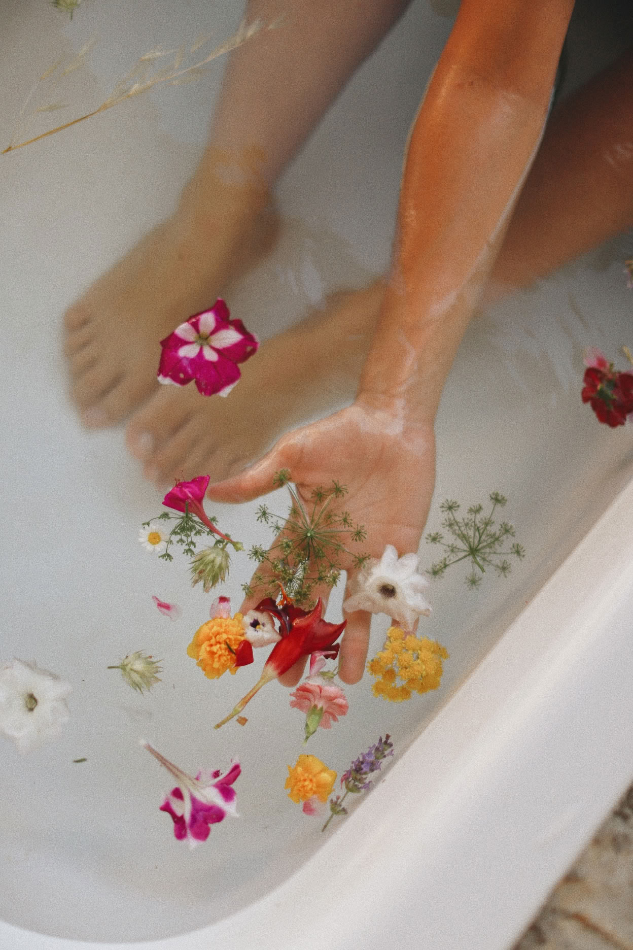 Yoga, Detox y Cocina Herbal Retiro by Dr Lemm