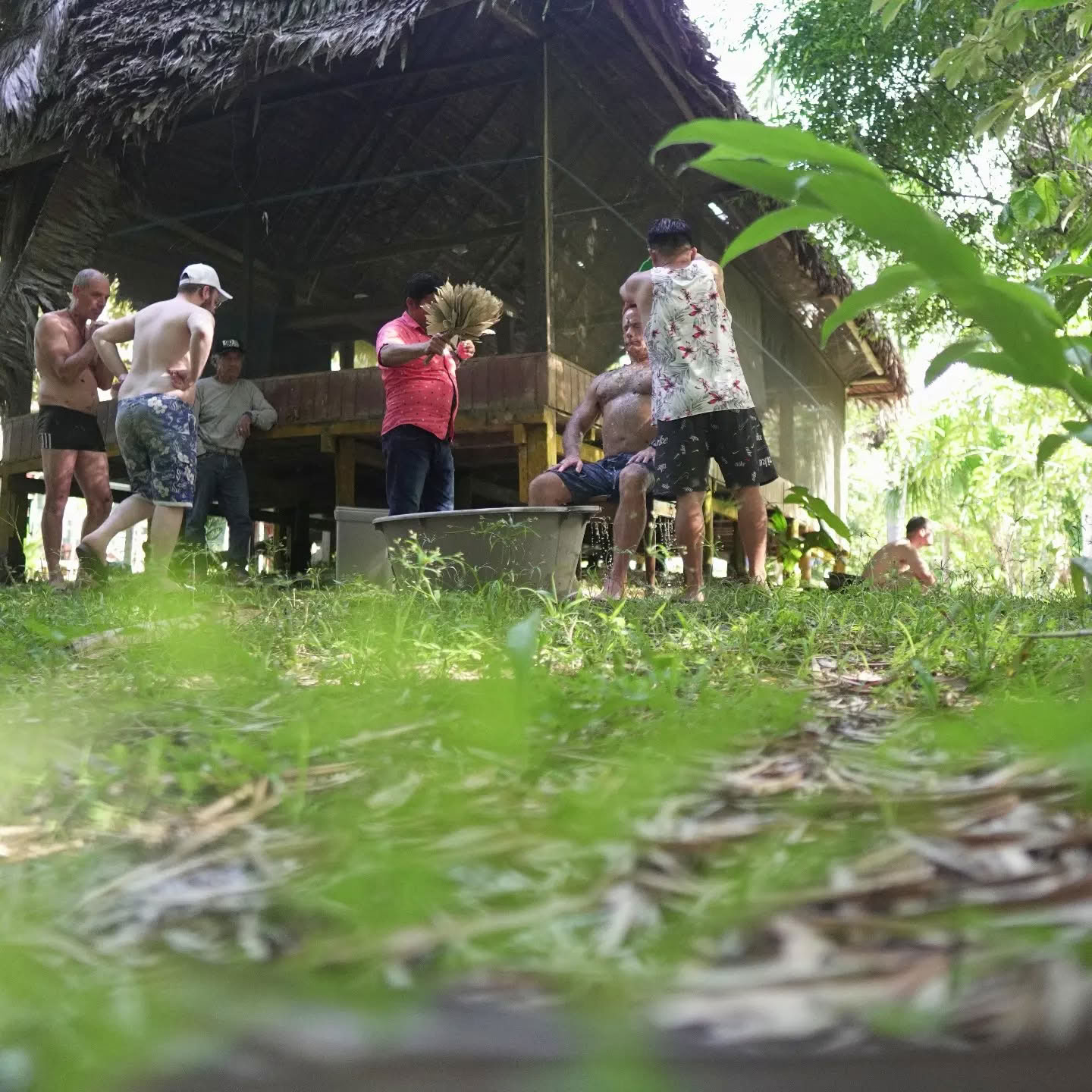 7 días Retiro de Ayahuasca