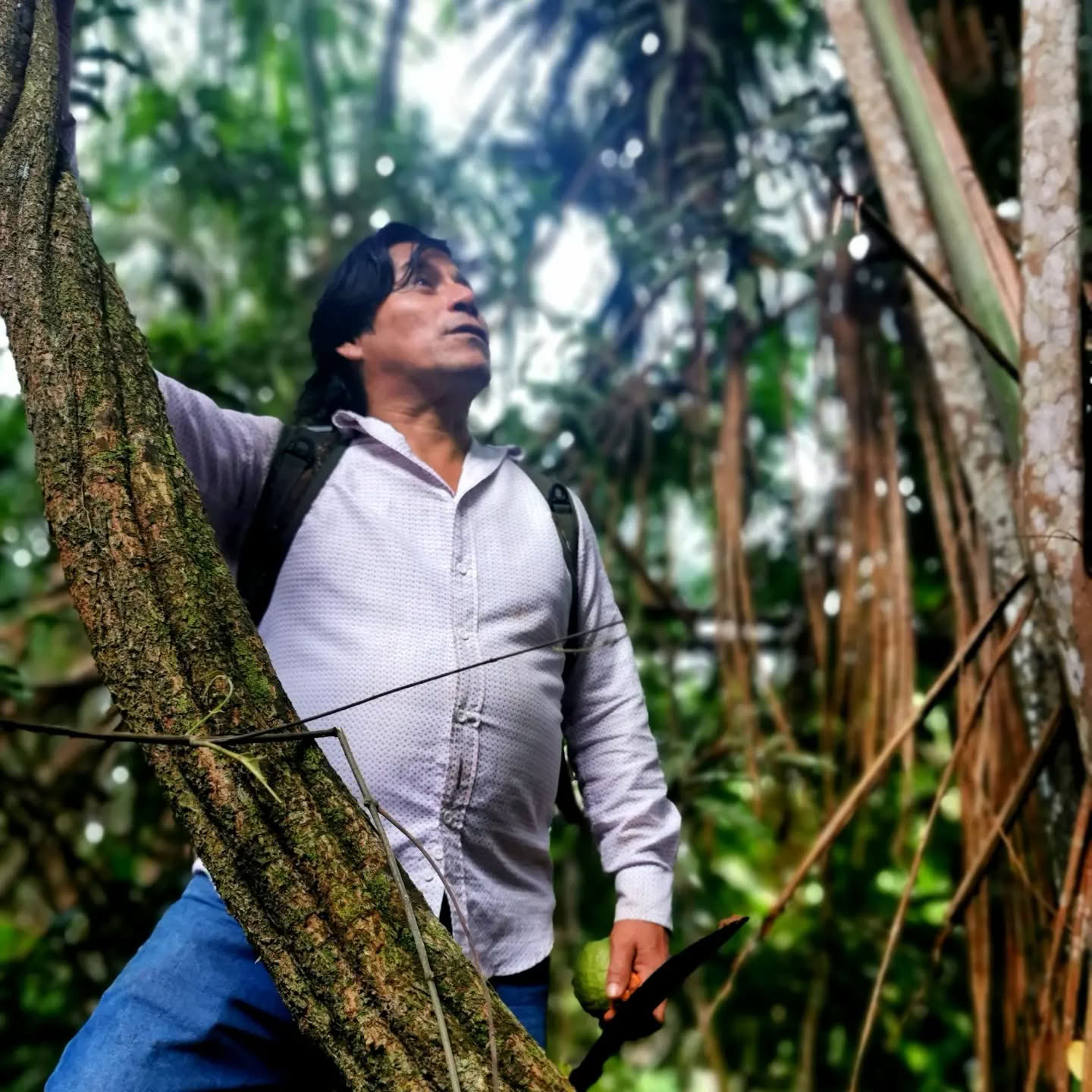 7 días Retiro de Ayahuasca
