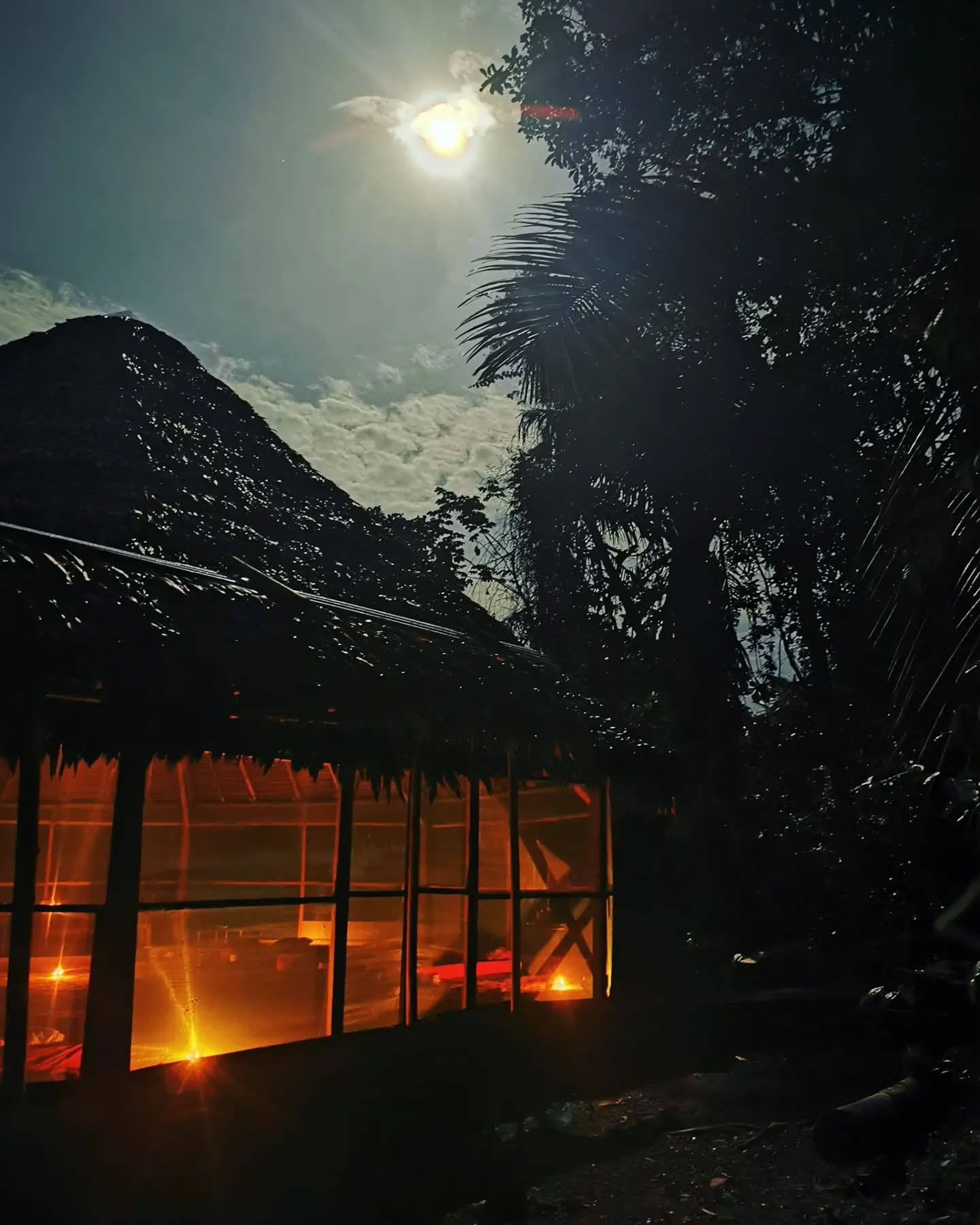 7 días Retiro de Ayahuasca