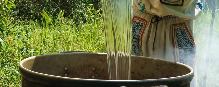 7 días Retiro de Ayahuasca