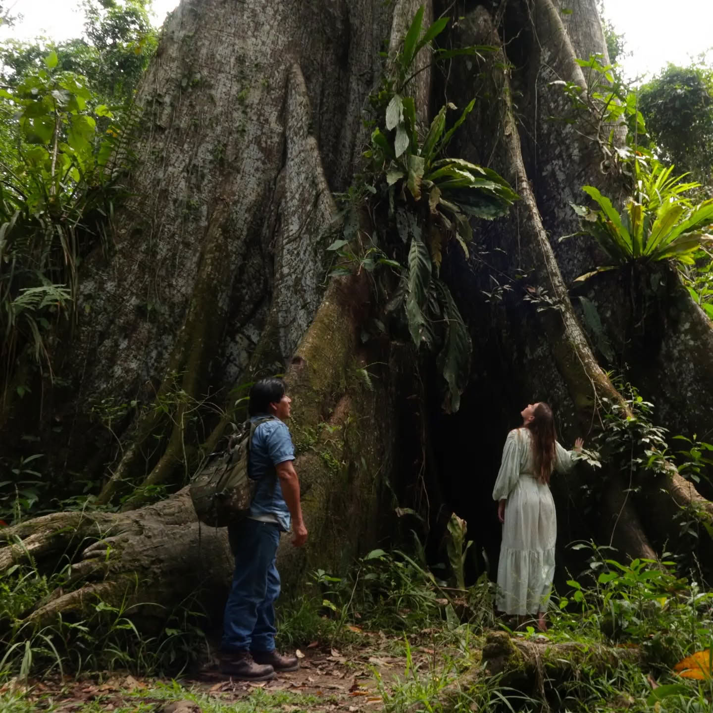 Retiro de Ayahuasca de 14 días