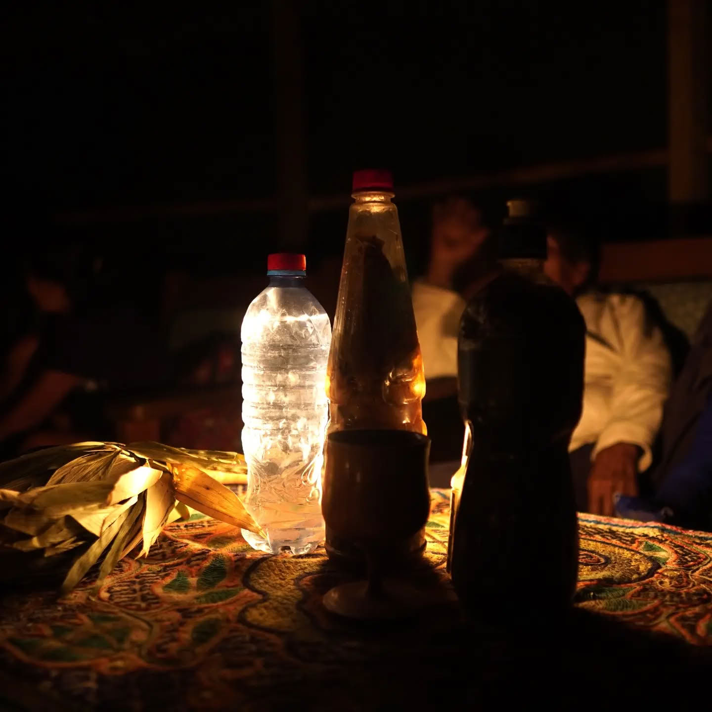 Retiro de Ayahuasca de 14 días
