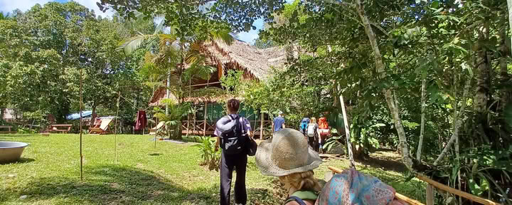 Retiro de Ayahuasca de 14 días