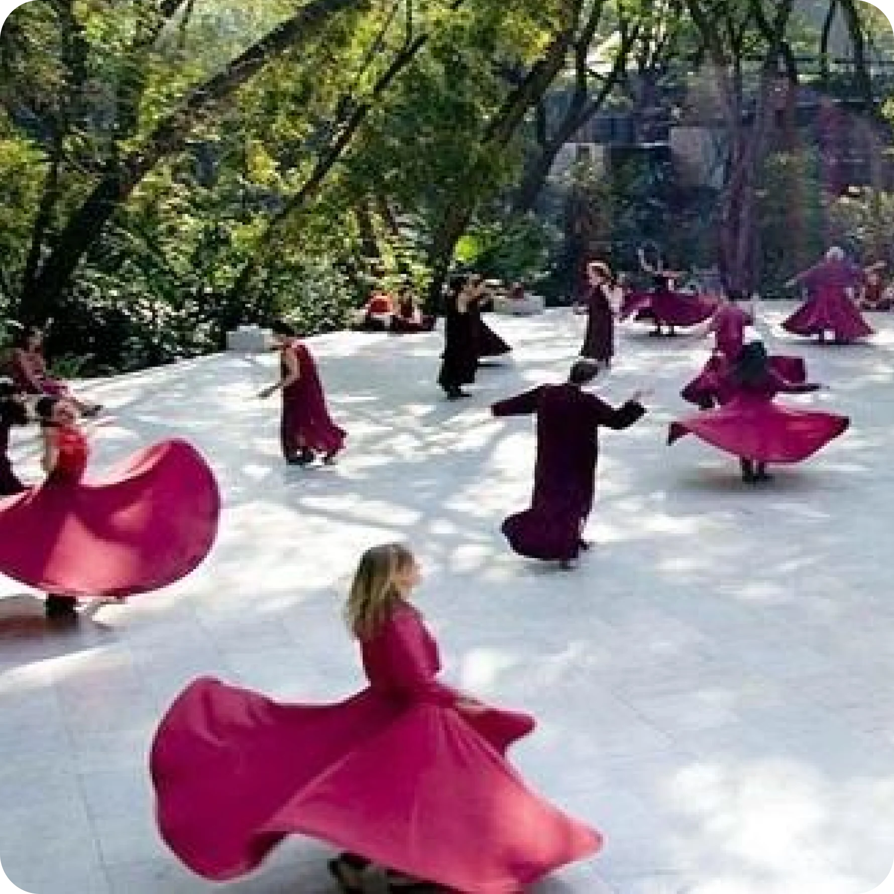 Sesión de Meditación Osho de Un Día