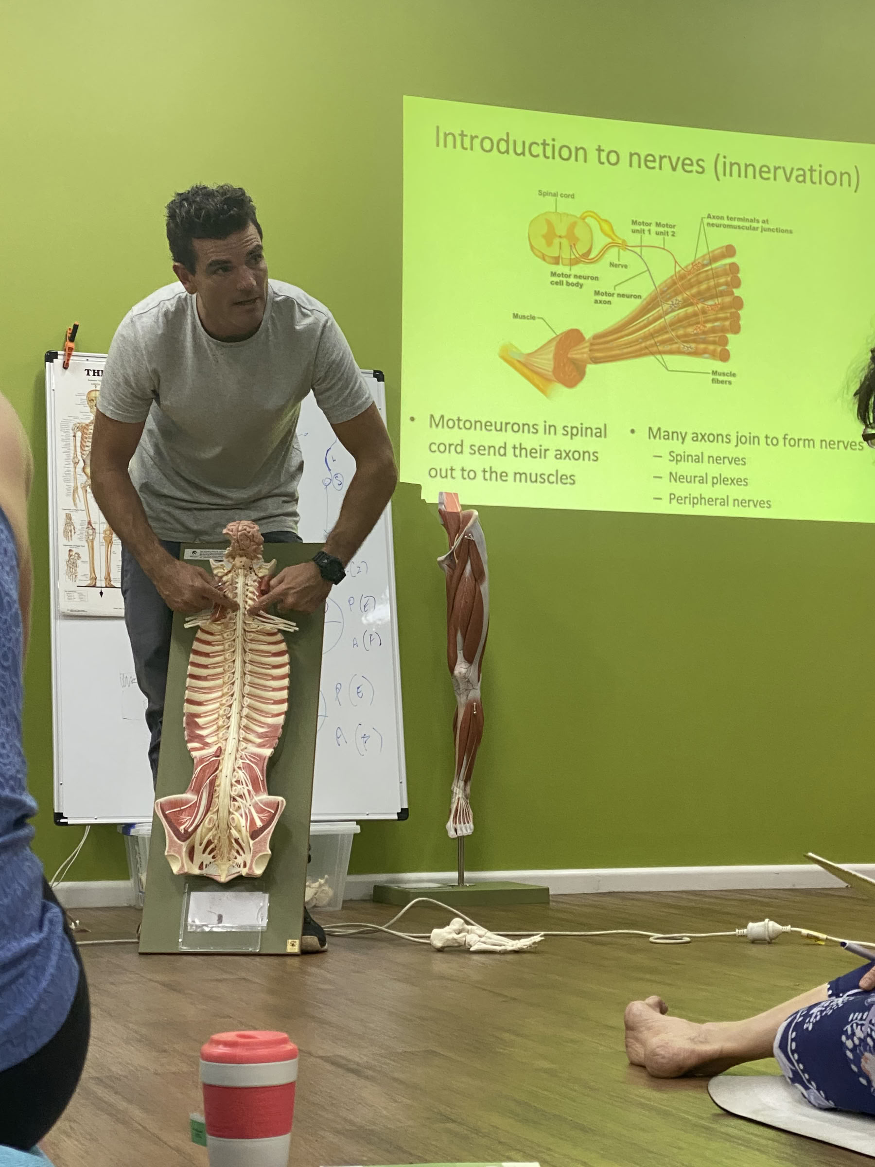Yoga Inmersión