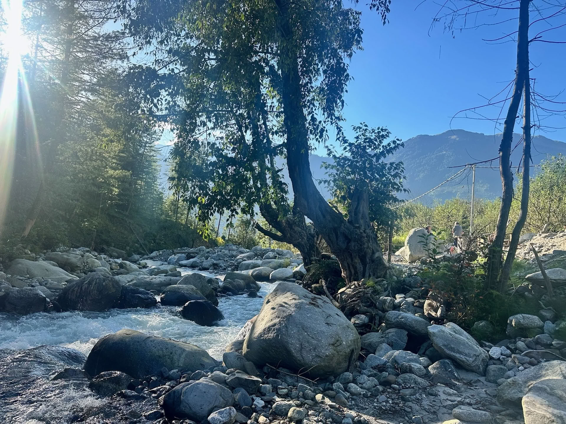 Retiro de Bienestar en el Himalaya