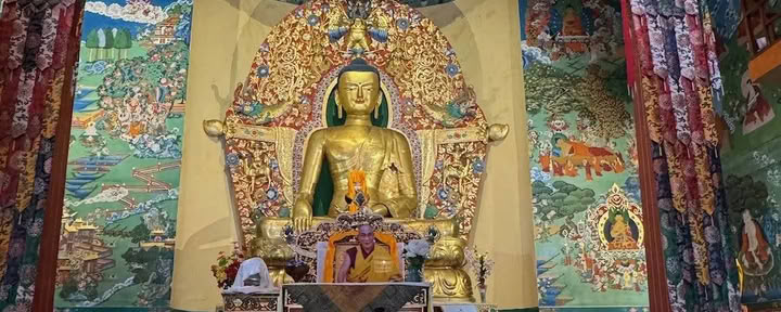 Retiro de Bienestar en el Himalaya