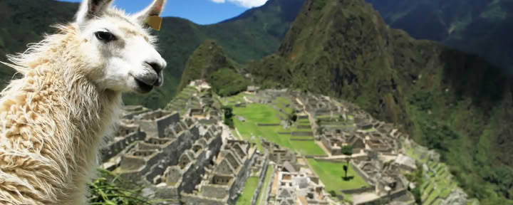 7 días Retiro de Ayahuasca y Machu Picchu: Viaje Sagrado de Sanación