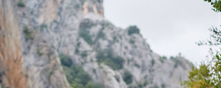 Beginning Anew : Yoga, Mindfulness, Art & Nature Retiro