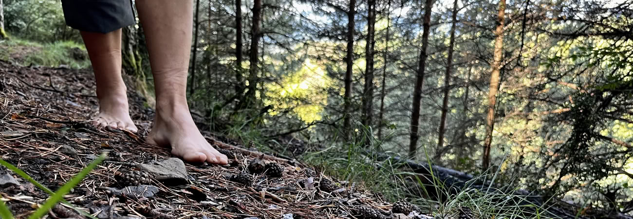 The Peace in the Wild: Retiro de yoga, arte y naturaleza