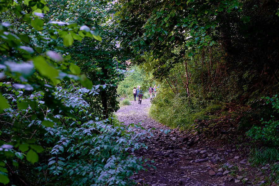 Reverencia por la vida: Retiro de yoga, mindfulness y senderismo