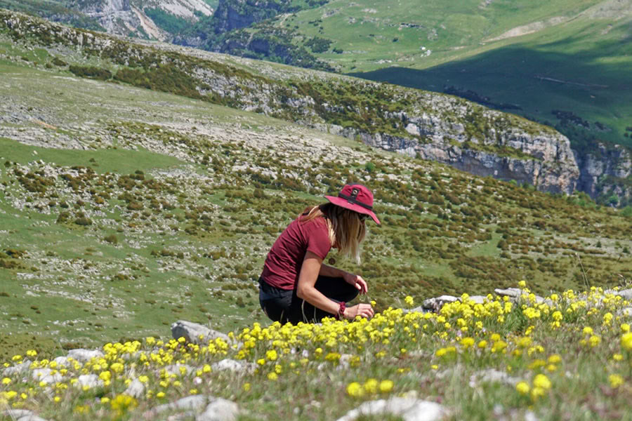 Reverencia por la vida: Retiro de yoga, mindfulness y senderismo