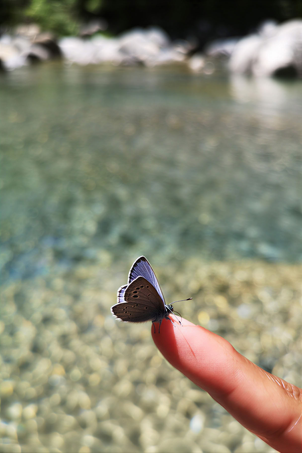 Reverencia por la vida: Retiro de yoga, mindfulness y senderismo