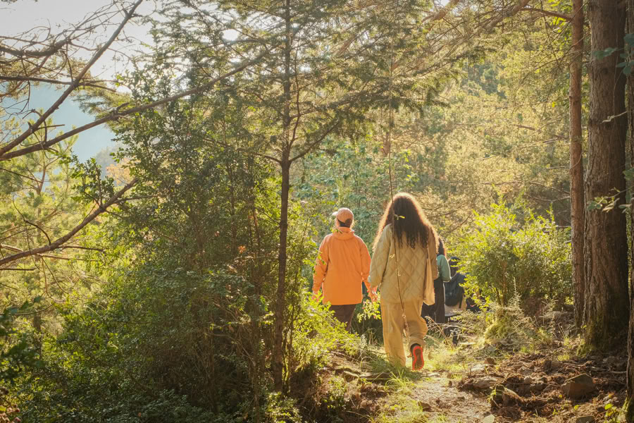 Forest Bathing: Yoga, Arte y Naturaleza Retiro