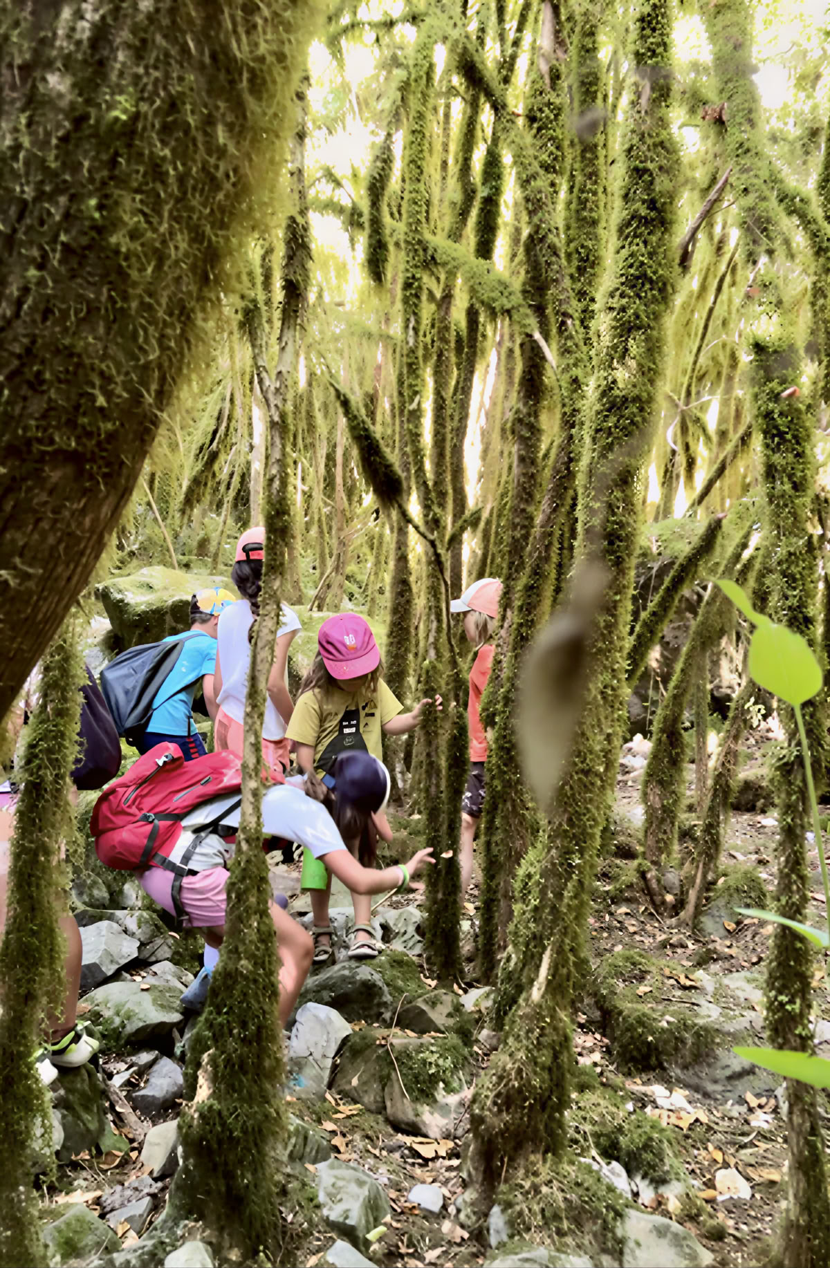 Retiro de agosto Yoga Arte & Nature