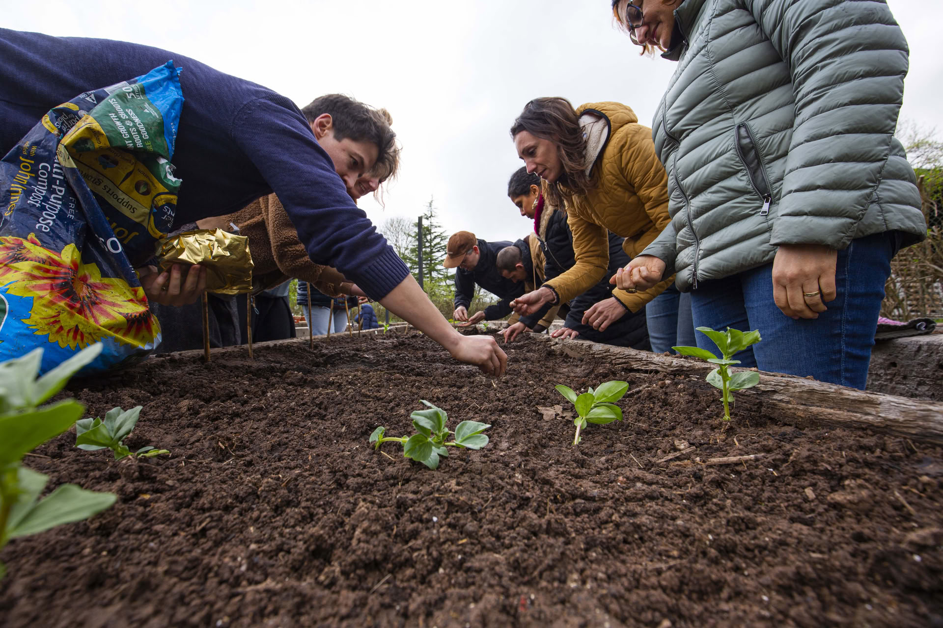 Campamento de eliminación de carbono